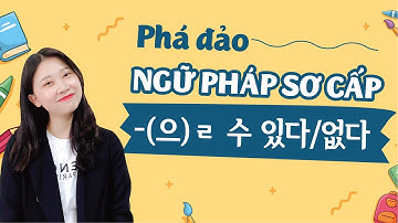 [Ngữ pháp tiếng Hàn sơ cấp] Làm sao để nói "Có thể" và "Không thể" trong tiếng Hàn _ “-(으)ㄹ 수 있다/없다”