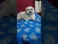 Live highlight