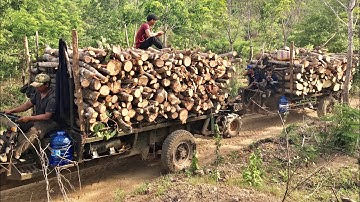 (Mơ vlogs ) Tập 106xe công nông cầu đẩy chở củi lên núi đỉnh