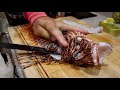 How to Catch Clean and Cook a *LIONFISH* (DEADLY VENOMOUS )