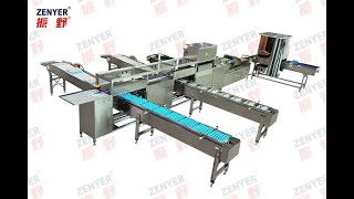 Zenyer 104A egg grader with automatic packers 10000 eggs per hour