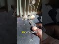 humahagok dahil sa.sensor #viral #mechanic #viralvideo #viralshort #shortvideos #share #virals