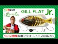 【村上的】#049 ギルフラットJr.（ジュニア）の遊び方【フックセッティング】