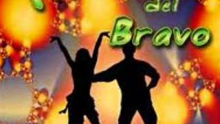 Video thumbnail of "Tropical del Bravo Popotitos"
