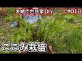 【夫婦で古民家DIY】 # 018 山から採ってきたコゴミを植え付けてみる