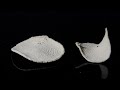 3D Printing with Wood Ink