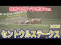 【セントウルステークス2026】【競馬予想TV予想家Ver.】【今週の予想家】水上学さん/井内利彰さん/夏目耕四郎さん/キムラヨウヘイさん/松本ヒロシさん、予想バトルスタート! #4392