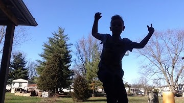 Pig basketball, horse basketball