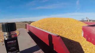 Accident on the Farm, End of Harvest