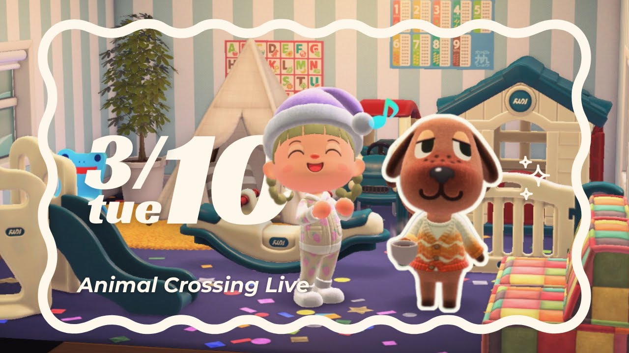 あつ森ライブ | 3/10 tue のんびりいつものたぬき島🐻