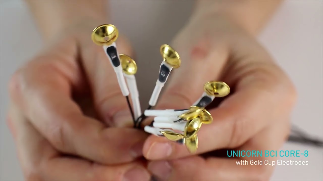 UNICORN BCI CORE - Recording EEG in HORSES