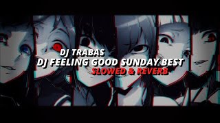 Download Mp3 DJ FEELING GOOD SUNDAY BEST | Slowed & Reverb 😎🤙 | VIRAL TIKTOK😎😁👍 Gudang lagu Download Mp3 DJ FEELING GOOD SUNDAY BEST | Slowed & Reverb 😎🤙 | VIRAL TIKTOK😎😁👍