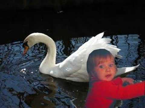 H kleine meid, op je kinderfiets