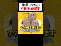 誰も思いつかない住民作った結果ww #トモコレ #ゲーム実況 #かんなちゃろ
