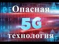 5G Опасная технология Исследование вне тела