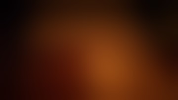 “Eight fucking bears”