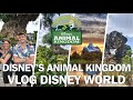 Le plus beau parc disney  vlog  disneys animal kingdom  walt disney world 2022 partie 3