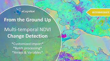 Multi-temporal NDVI Change Detection