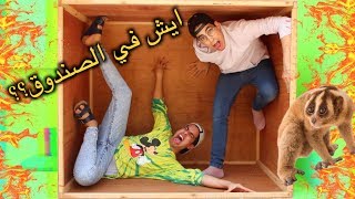 ايش الي في الصندوق؟ ٥ | سلو لوريس في بيتنا