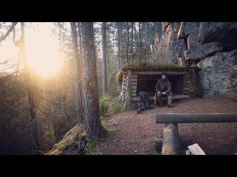 Video: Shelter Til Prydbuske Til Vinteren