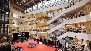 大嶋由美 マレッツスーパープレー&監督インタビュー 日本ペイントマレッツ vs 京都カグヤライズ ノジマTリーグ2024-2025 10月26日 イオン新浦安ショッピングセンター【卓球 Tリーグ公式】