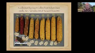 The Cutler-Anderson Corn Collection at Missouri Botanical Garden, St Louis