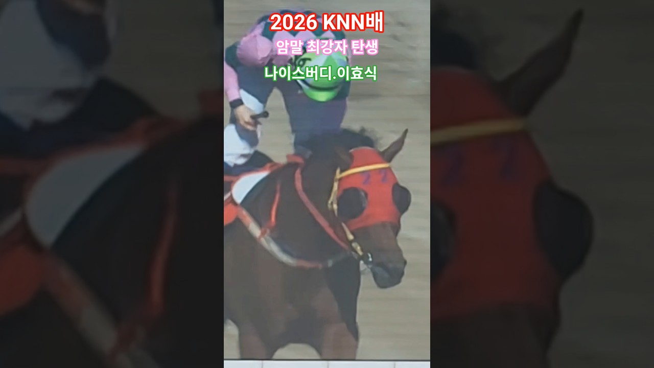 하늘이주신 선물👏👏👍#경마 #말 #대상경주 #달려라말 #shorts