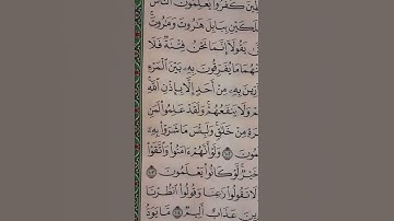 سورة البقرة من آية 101_102