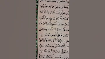 سورة البقرة من آية 101 102 