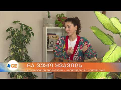 დეკორატიული მცენარეები -  სიამოვნება და სირთულეები