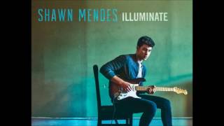 Ruin  Shawn Mendes 