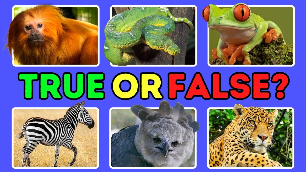 25-true-or-false-animal-quiz-questions-fun-animal-trivia-challenge
