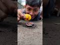 Animal loving Tarzan gently wakes the millipede #millipede