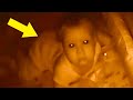 Toddler Tells Mom He Sees Face At Night, Mom Checks Monitor