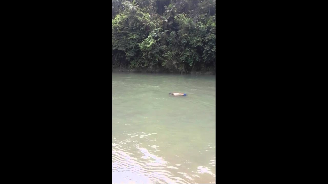 Mayat Disungai Batu Nongol Youtube Mayat Disungai Batu Nongol Youtube