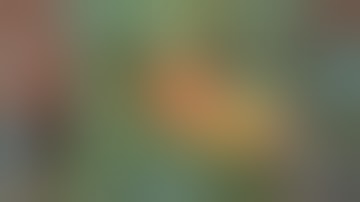 NEW REVAMPED..!!! SCRIPT SKIN CHOU EPIC DRAGON BOY  FULL EFFECT + BACKUP | Mobile Legends Bang Bang