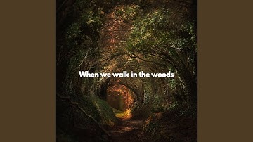 Happening Backdrops for Replicating Change