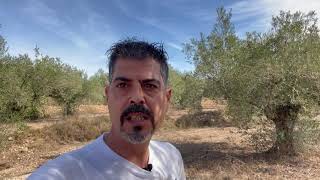 Ref. 1494 Terreno Rustico en Zona Pla en Onil (Alicante)