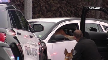 Police K9 jumps through car window to subdue suspect
