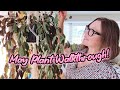 May Plant Collection Walkthrough | Houseplant Tour | New Plants and New Growth | Garden Walk Too