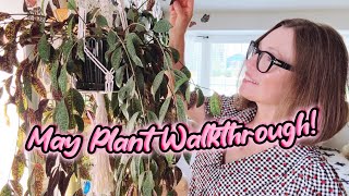 May Plant Collection Walkthrough | Houseplant Tour | New Plants and New Growth | Garden Walk Too