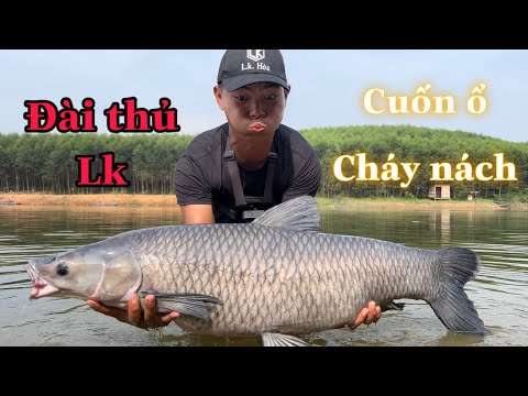 Học Câu Đài Cùng Lk - Cuốn Ổ Tét Nách
