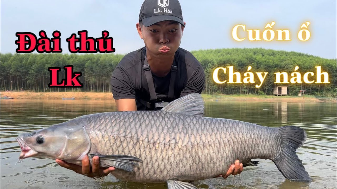 Học Câu Đài Cùng Lk - Cuốn Ổ Tét Nách