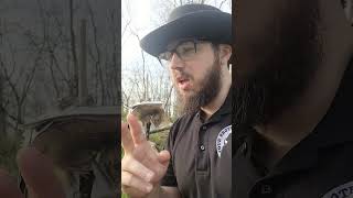 Week 2: Did Allah FAIL to Protect the Quran?! 😳
