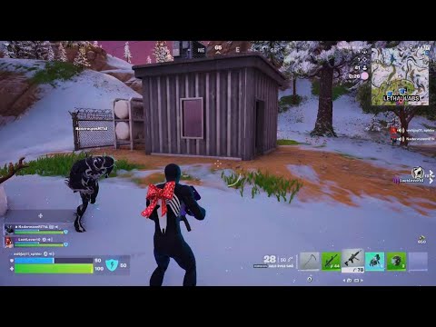 Fortnite Christmas delulu