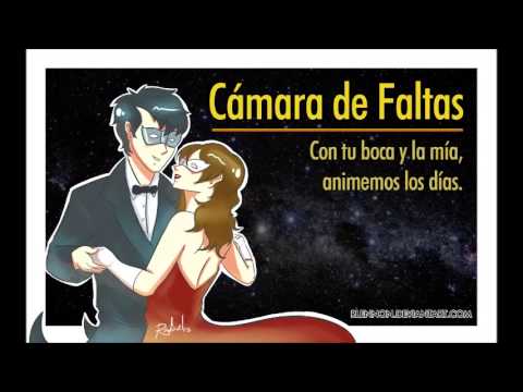 camara de faltas enjambre