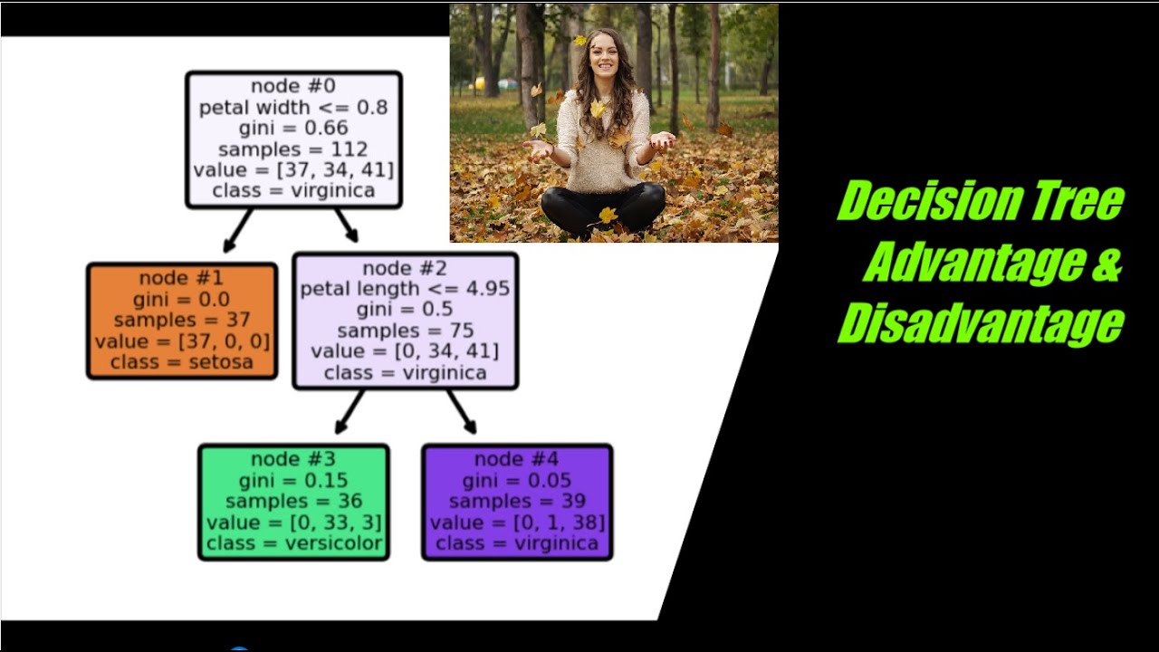 Top 5 Decision Tree Algorithm Advantages And Disadvantages YouTube Top 5 Decision Tree Algorithm Advantages And Disadvantages YouTube