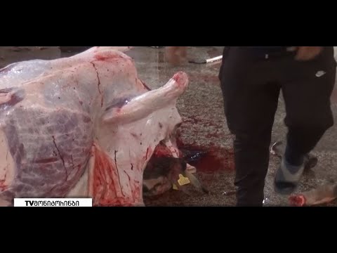 5 000 ლარიანი ჯარიმა სასაკლაოს - TV მონიტორინგის რეპორტაჟს რეაგირება მოჰყვა 5.05.2022