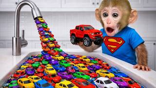 小猴子 BonBon 的爆笑災難日，快餐店差點被牠炸了！ – BonBon 台灣