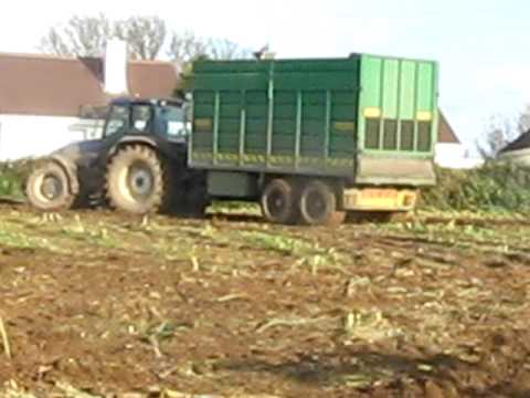 Maize2009 with Seamo